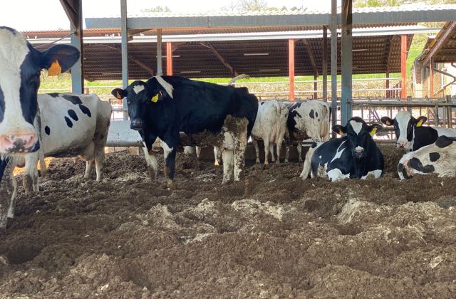 Piensos certificados y animales bien cuidados: